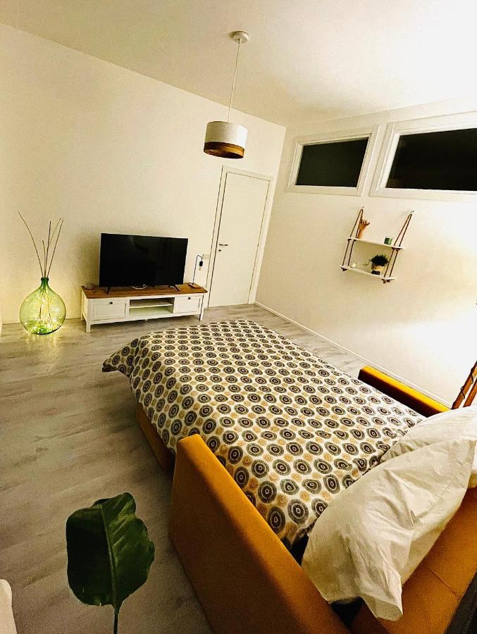 מטרה The Mule Apartment מראה חיצוני תמונה